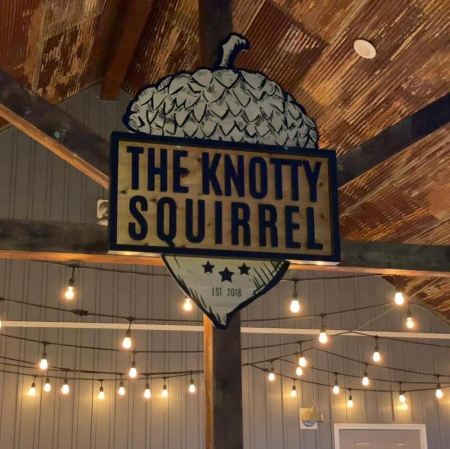 Knotty Squirrel Cabins Mountain View Luaran gambar