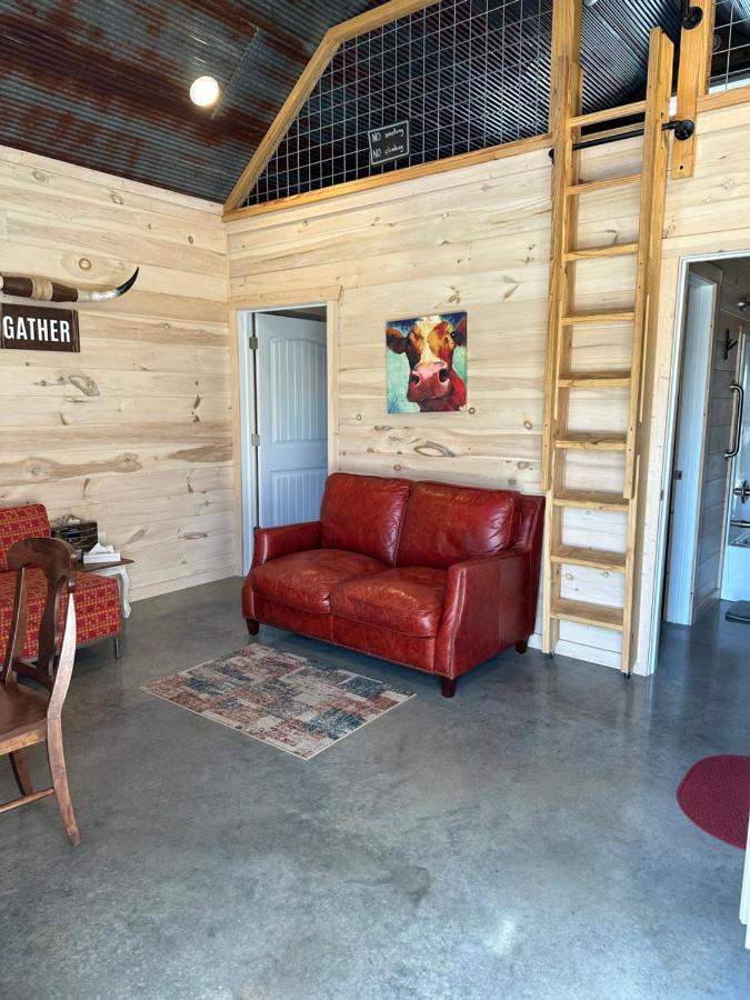 Knotty Squirrel Cabins Mountain View Luaran gambar
